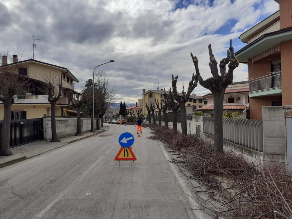 Potatura degli alberi in via di Palmoli