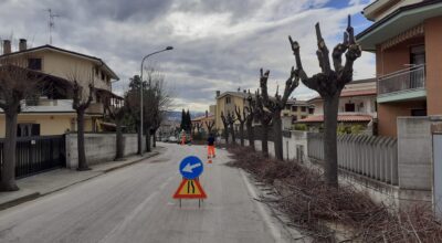 Potatura degli alberi in via di Palmoli