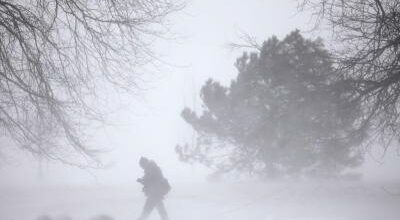 Nevicate, avviso alle imprese agricole