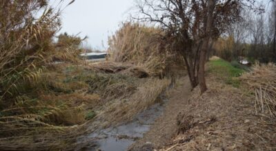 Il sindaco Magnacca: «Torrente Buonanotte a rischio esondazione»