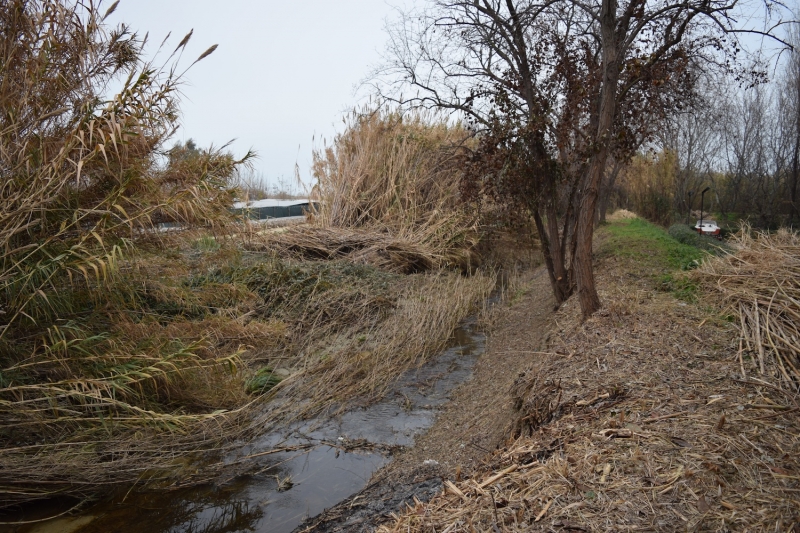 Contributo della Regione per la pulizia del torrente Buonanotte