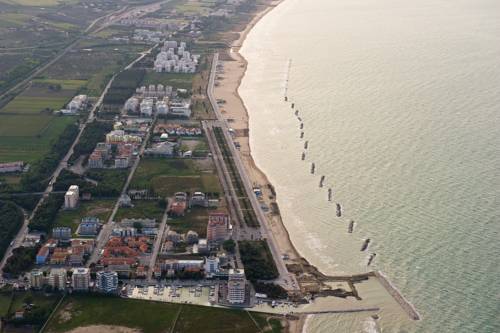 Aggressione di una ragazza da un canide sul lungomare. Vicinanza del sindaco: situazione non accettabile, sono dispiaciuta   