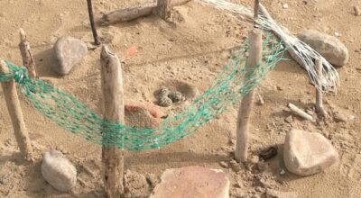 Tutela del Fratino, anche quest’anno ha nidificato sul lungomare di San Salvo