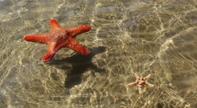 Acque di balneazione, eccellenti i dati di giugno 2021