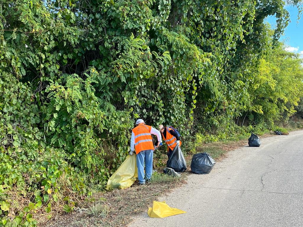 Pulizia straordinaria della zona industriale