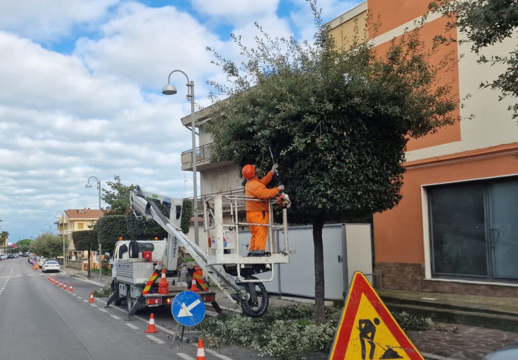 In corso la potatura degli alberi a San Salvo