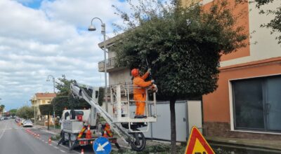 In corso la potatura degli alberi a San Salvo