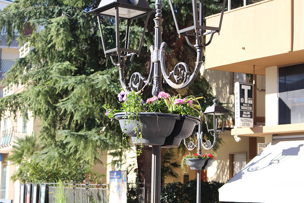 Nuovi fiori per le fioriere di via Roma e corso Umberto I