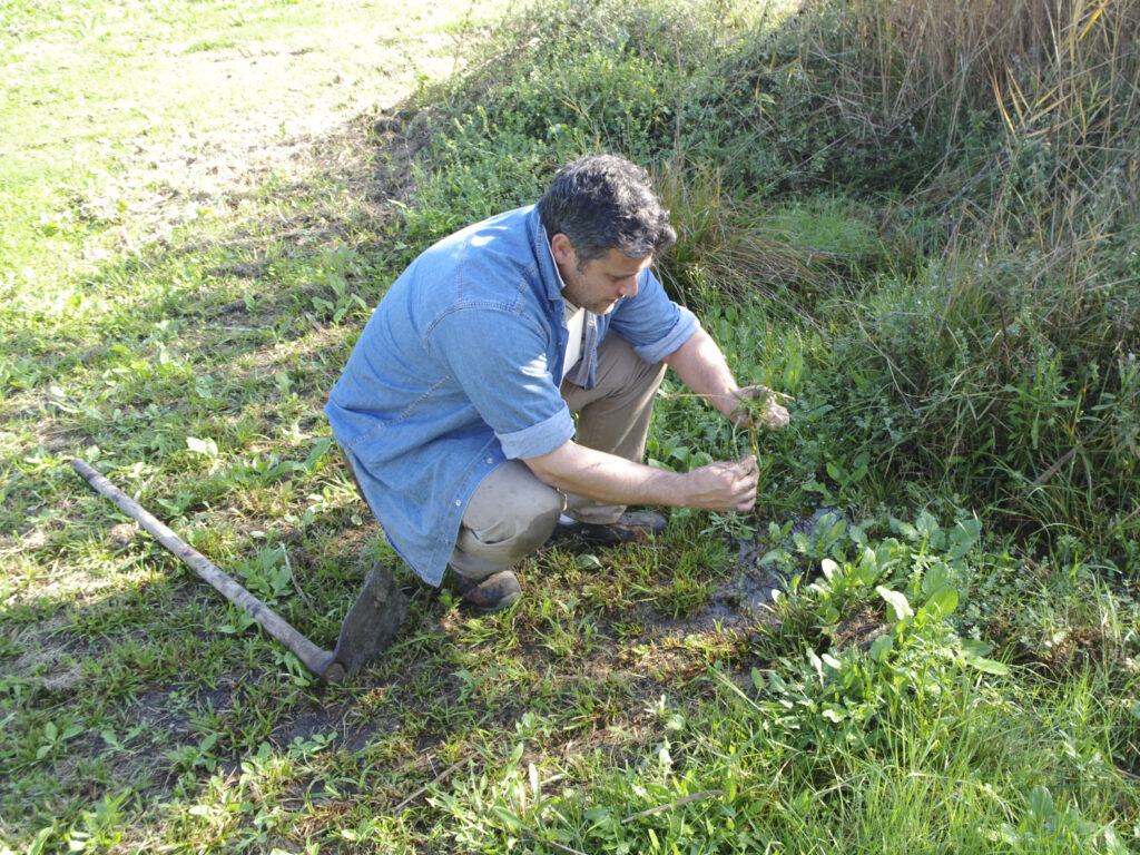 Valenza scientifica internazionale per il Giardino Botanico Mediterraneo