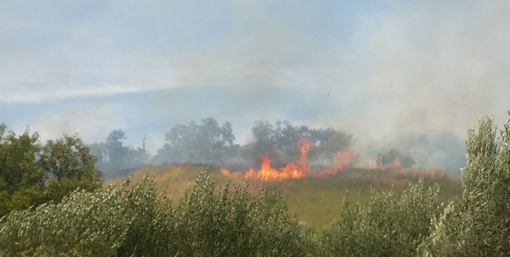 Rischio incendi, l’ordinanza del Sindaco Emanuela De Nicolis